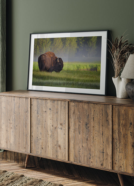 Bison in Morning Light Plakat