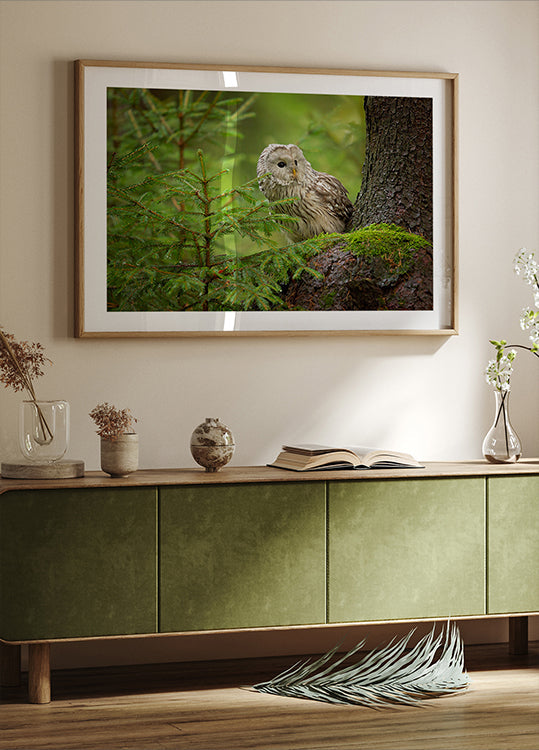 Ural Owl Plakat