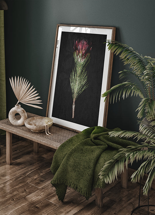 Protea Serenity Plakat