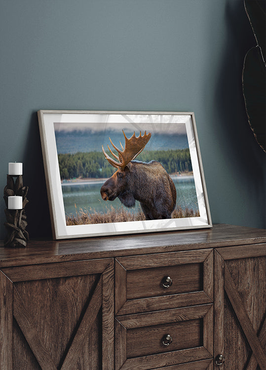 Moose Plakat