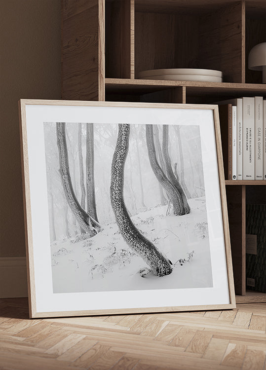 Frozen Forest Plakater