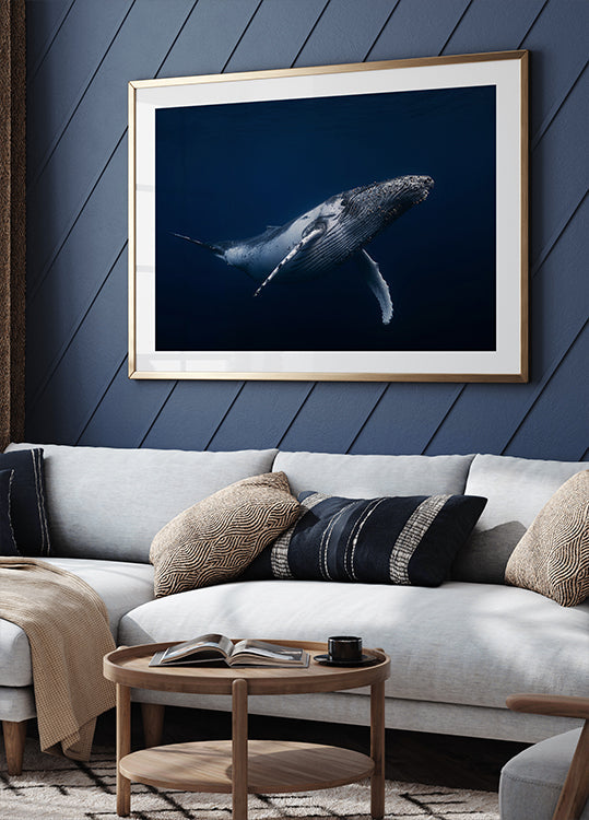Humpback whale in blue Plakat
