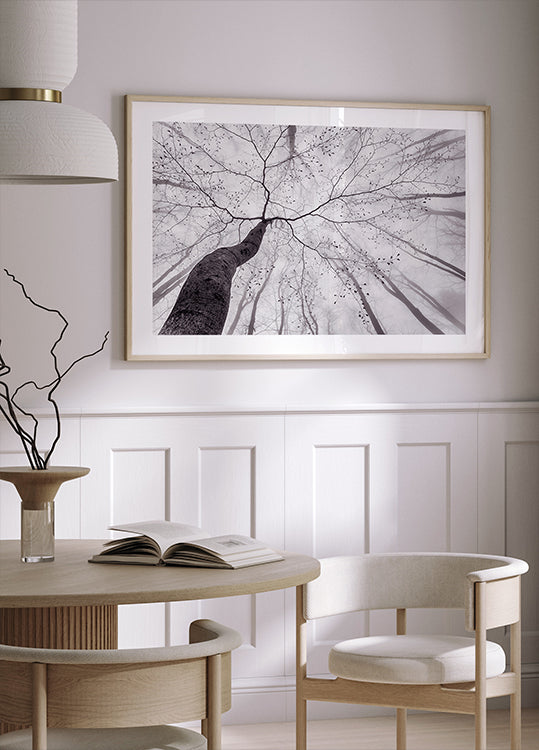 A view of the tree crown Plakat