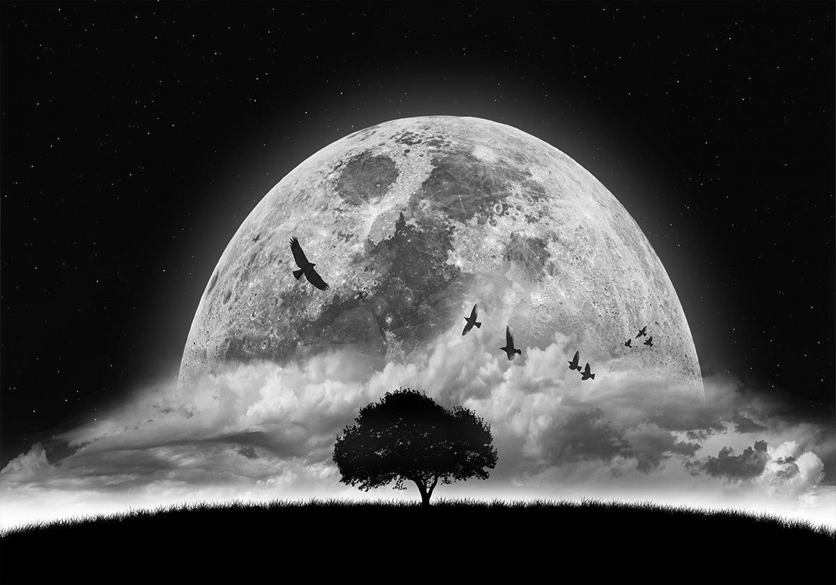 A Dream Plakat - Posterbox