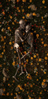 Memento Mori - Posterbox
