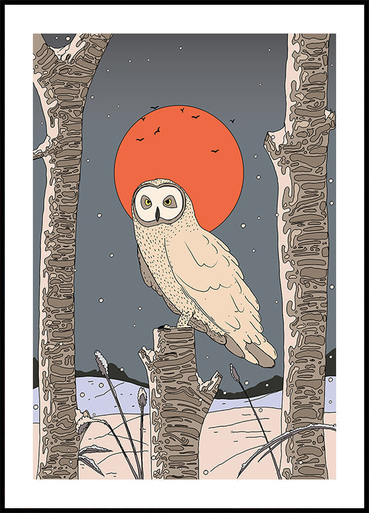 Vintage Owl Plakat - Posterbox