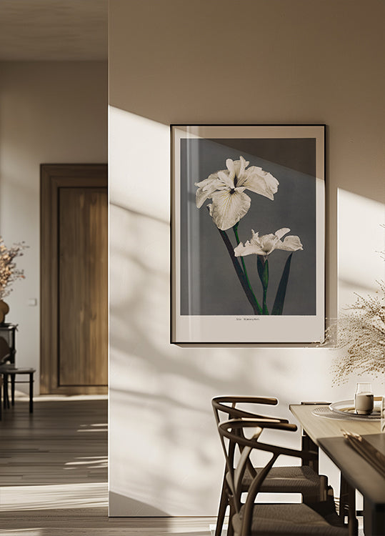 Iris Kæmpferi Plakat - Posterbox