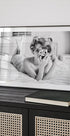 A chick, a click, and a curl Plakat - Posterbox