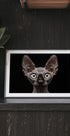 Sphynx Cat - Posterbox