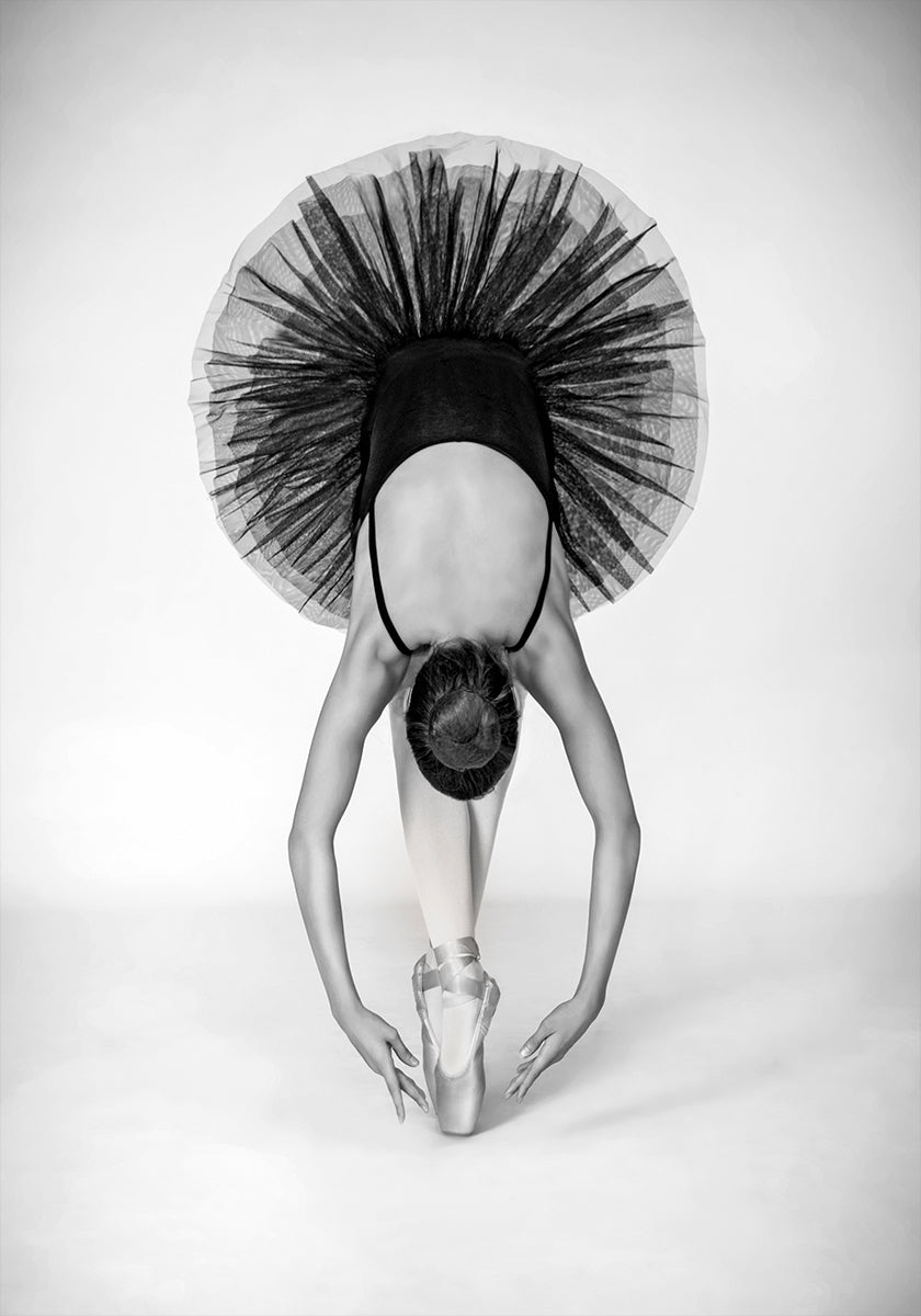 Ballet Technique Plakat - Posterbox