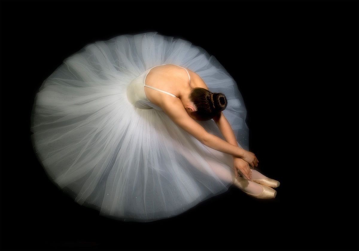 Elegance - Posterbox