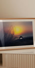 Morning - Posterbox