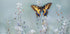Swallowtail beauty - Posterbox