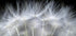 Blow it Plakat - Posterbox