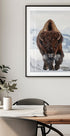 Bison Incoming Plakat - Posterbox