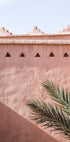 Palm and pink building (NEW) - Posterbox
