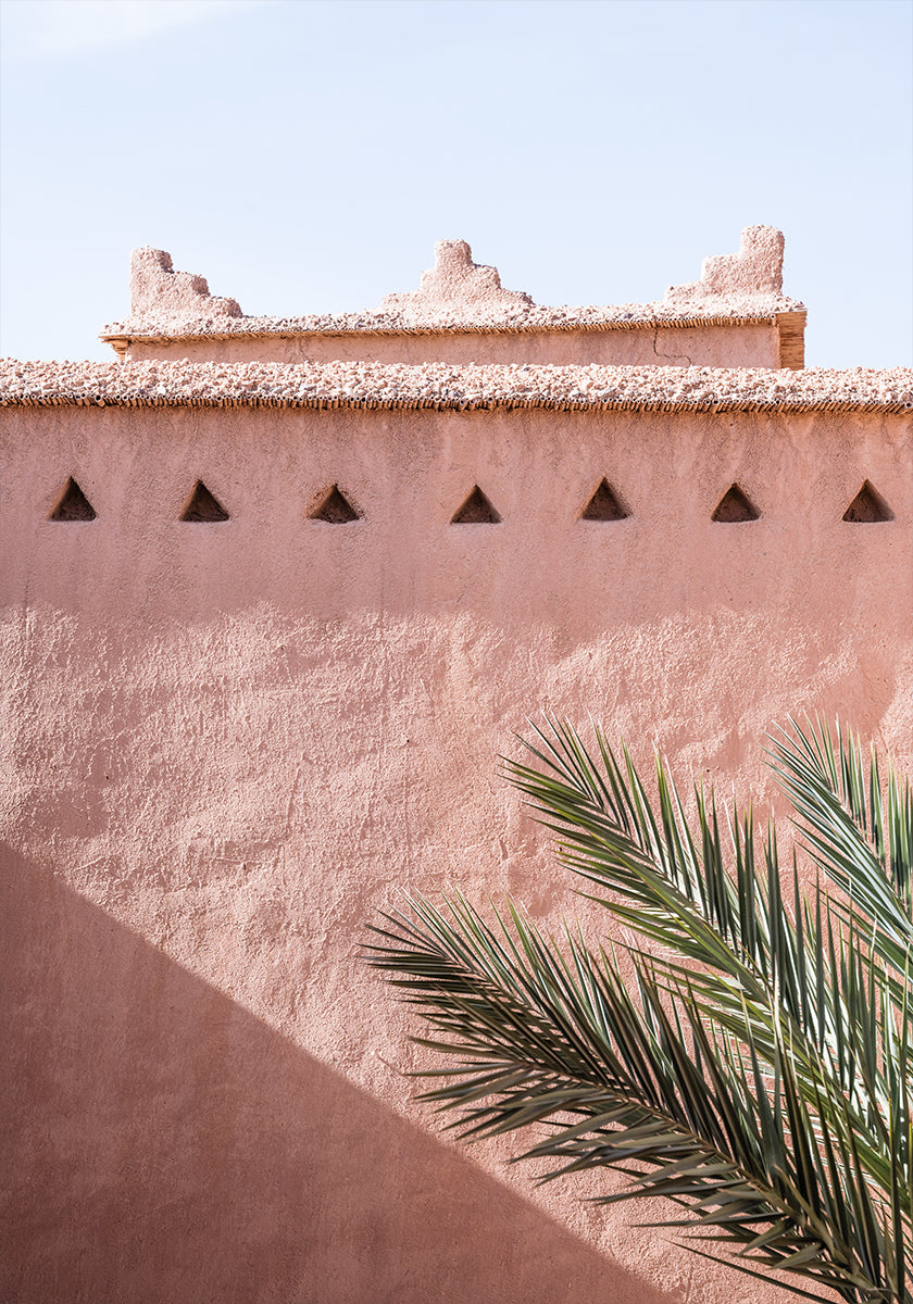 Palm and pink building (NEW) - Posterbox