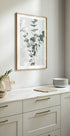 Eucalyptus No.3 Plakat - Posterbox
