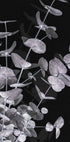 Eucalyptus Negative No.3 Plakat - Posterbox