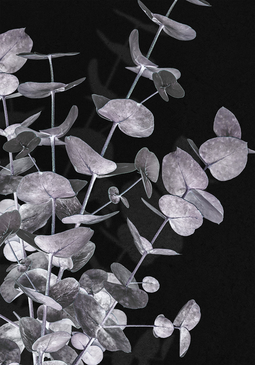 Eucalyptus Negative No.3 Plakat - Posterbox