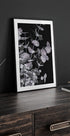 Eucalyptus Negative No.3 Plakat - Posterbox