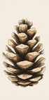 Pine Plakat - Posterbox