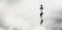 the fog - Posterbox