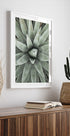 a picture of a plant in a frame on a wall