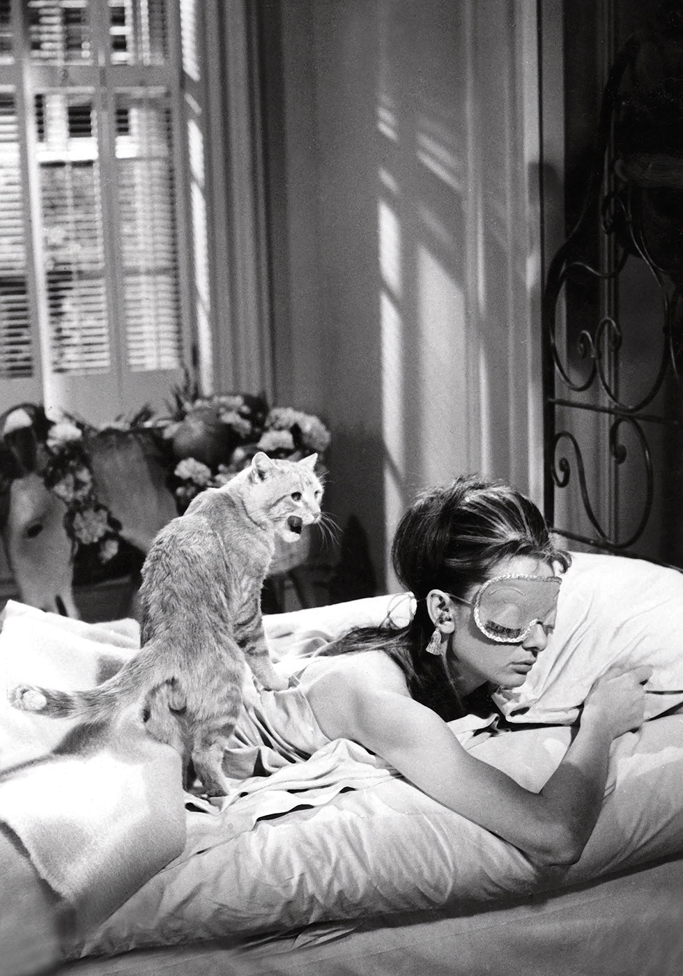 Audrey Hepburn Sleeping With Cat Plakat - Posterbox.dk