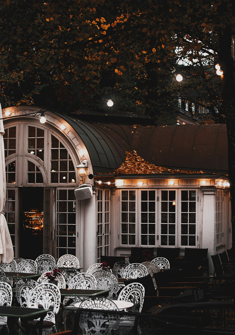 Autumn Café in Stockholm Plakat - Posterbox.dk