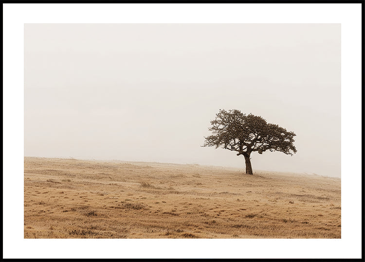 Autumn Grassy Field and Solitary Tree Plakat - Posterbox.dk