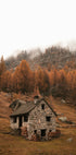 Autumn Mountain Cabin Plakat - Posterbox.dk