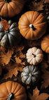 Autumn Pumpkins and Leaves Plakat - Posterbox.dk