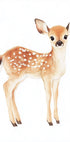 Baby Deer With Spots Plakat - Posterbox.dk