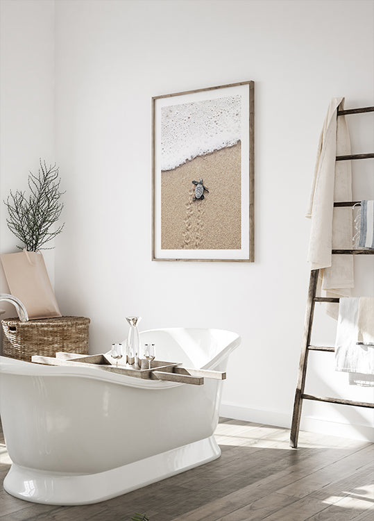 Baby Turtle Meets the Sea Plakat - Posterbox.dk