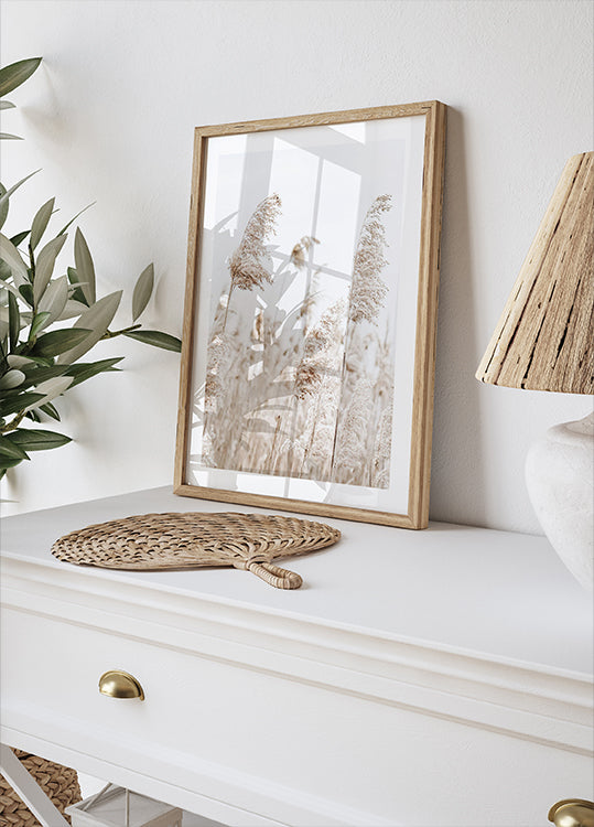 Boho Dried Reeds in Nature Plakat - Posterbox.dk