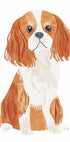 Cavalier Spaniel Dog Plakat - Posterbox.dk