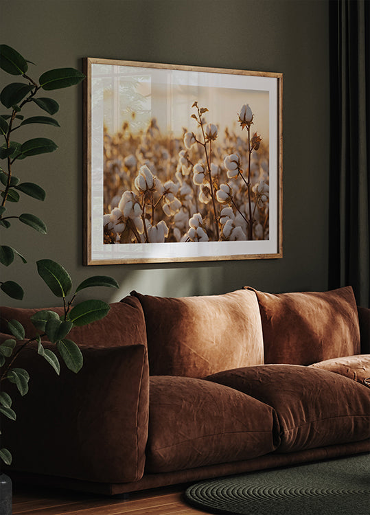 Cotton Flowers at Sunset Plakat - Posterbox.dk