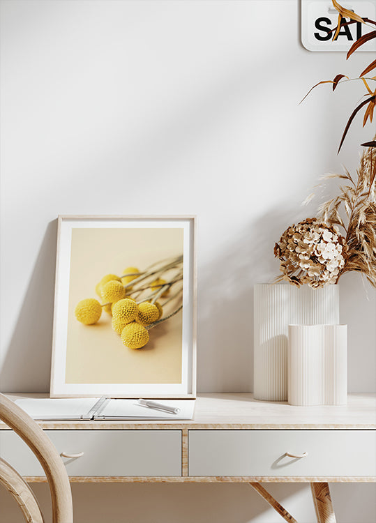 Craspedia Globosa Flowers Plakat - Posterbox.dk