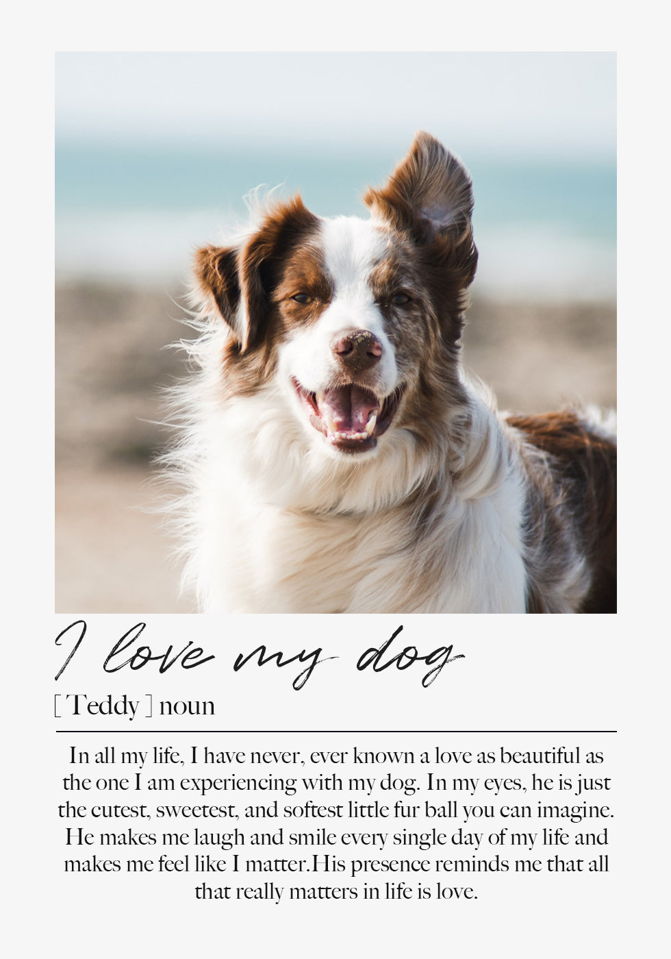 Custom Pet Portrait Plakat - Posterbox.dk