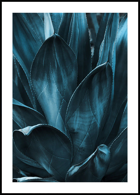 Dark Blue Agave Leaves Plakat - Posterbox.dk