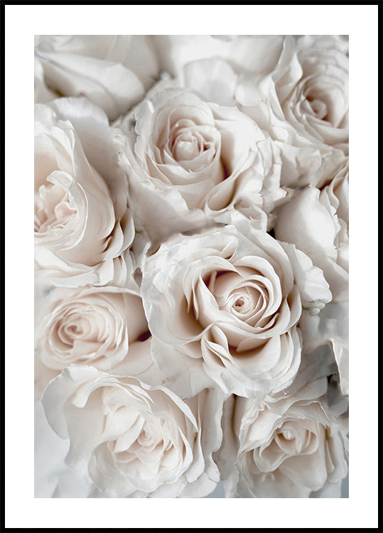 Elegant White Rose Bouquet Plakat - Posterbox.dk