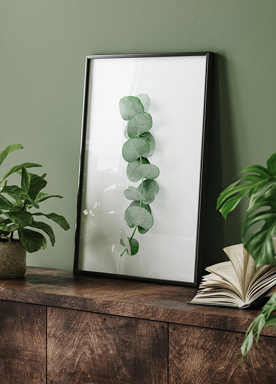 Eucalyptus Leaf Plakat - Posterbox.dk