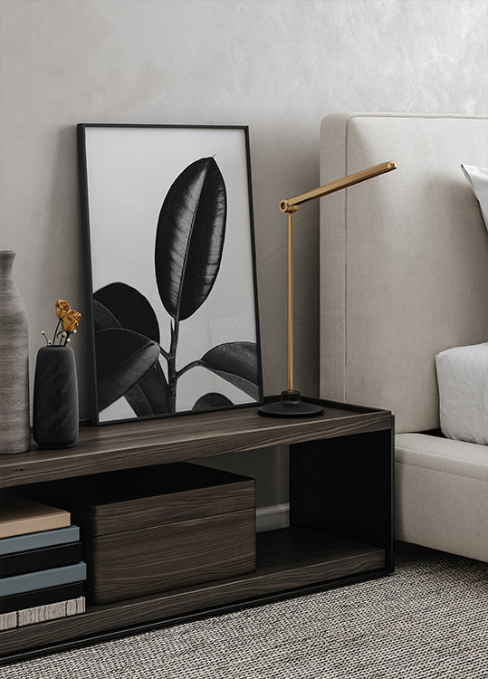 Ficus Leaves in Black & White Plakat - Posterbox.dk