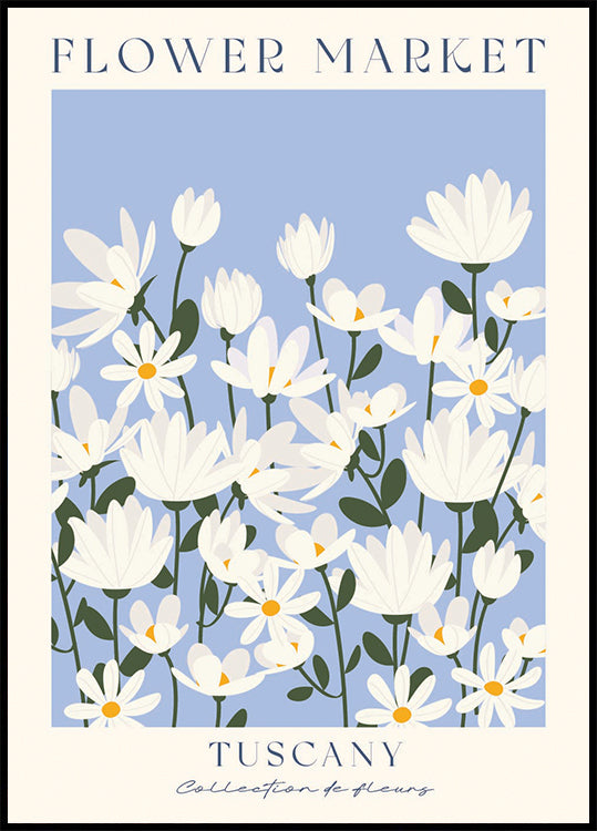 Flower Market, Tuscany daisy field Plakat - Posterbox.dk