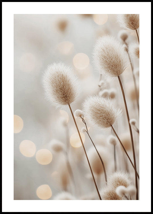 Fluffy Plant Stems Plakat - Posterbox.dk