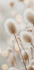 Fluffy Plant Stems Plakat - Posterbox.dk