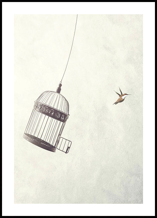 Flying Towards Freedom Plakat - Posterbox.dk