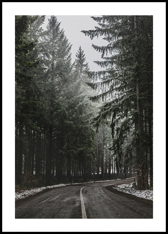 Forest Road in Winter Plakat - Posterbox.dk