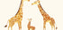 Giraffe Family Trio In Warm Tones Plakat - Posterbox.dk